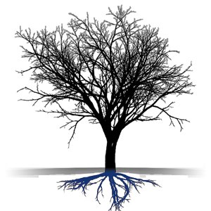 Baum der Organisation